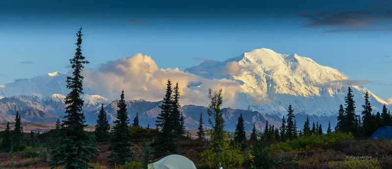 Alaska mountain and forest landscape