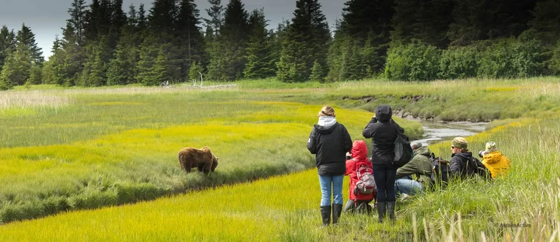 Alaska road trip and adventure scene
