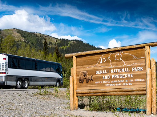 The Park Connection Bus passing Denali Sign