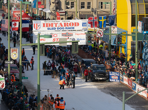 Iditarod Start in Anchorage