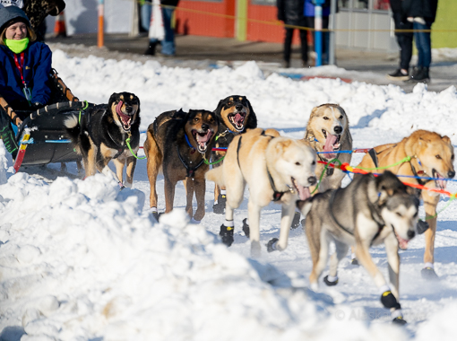 Ceremonial Start in Anchorage