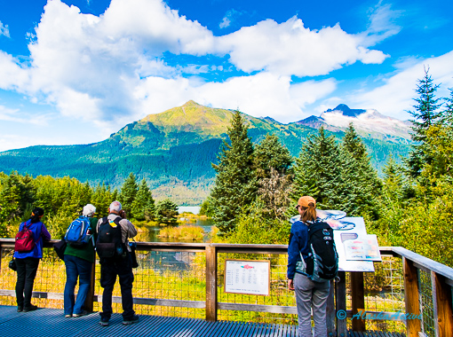 Mendenhall Glacier