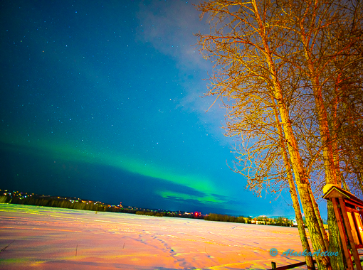 The bright neon green aurora and moon dancing like a flame over the boreal  forest, Chena River State Recreation Area, Fairbanks, Interior Alaska,  winter. PosterPrint - Item # VARDPI2433855 - Posterazzi